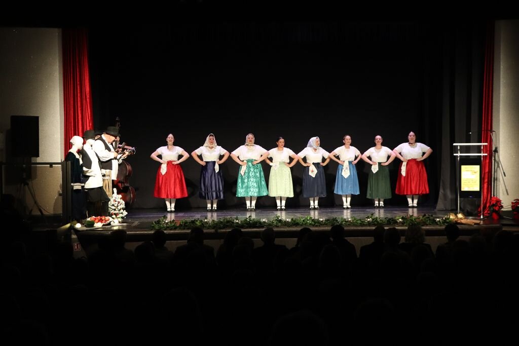 [FOTO] U Domoljubu održan tradicionalni koncert Županijske Lige protiv raka