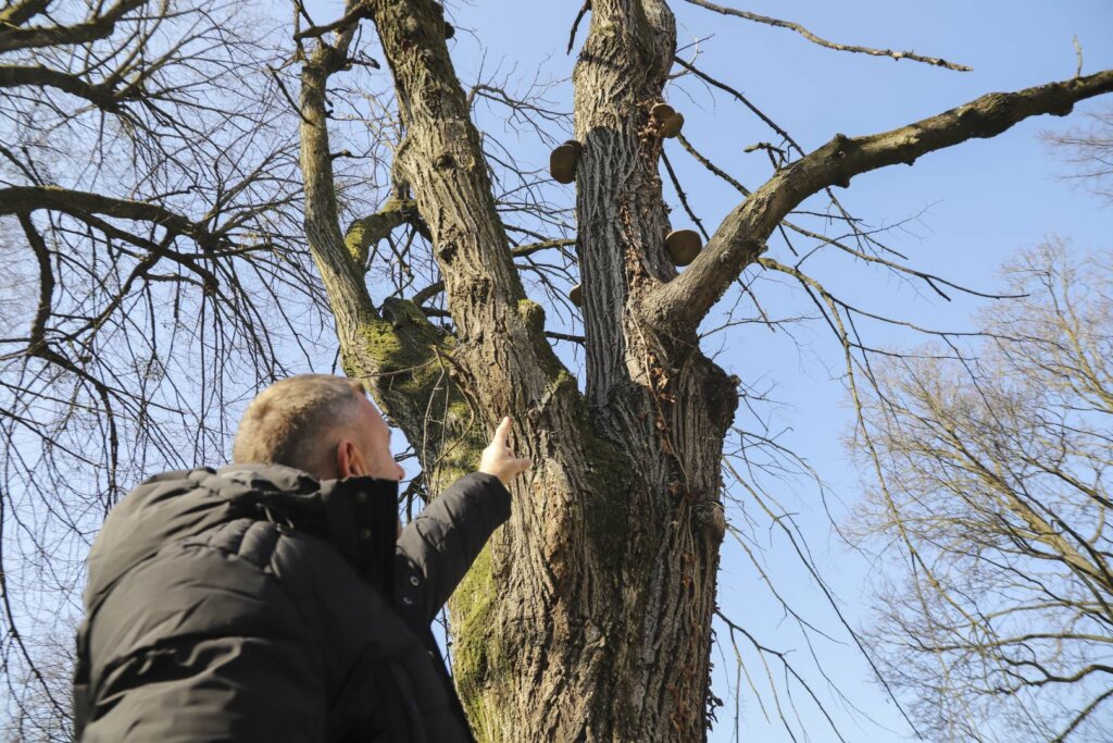 050225 Nikola Kolar Zdravstveni Pregledi 5