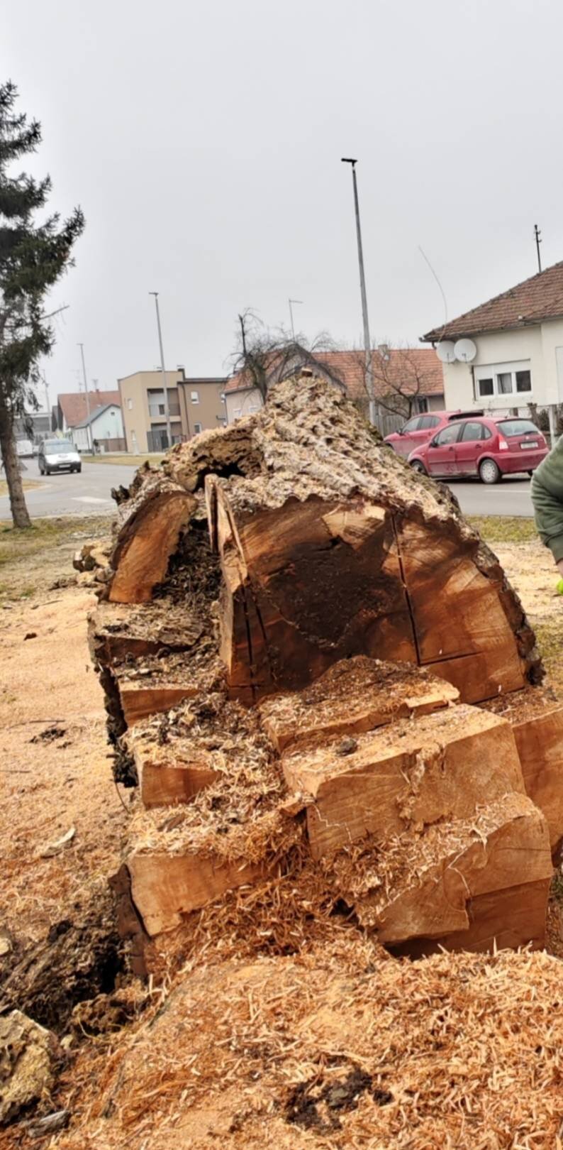 Img 020d26968eba78b4c4b38ac9b2a59926 V