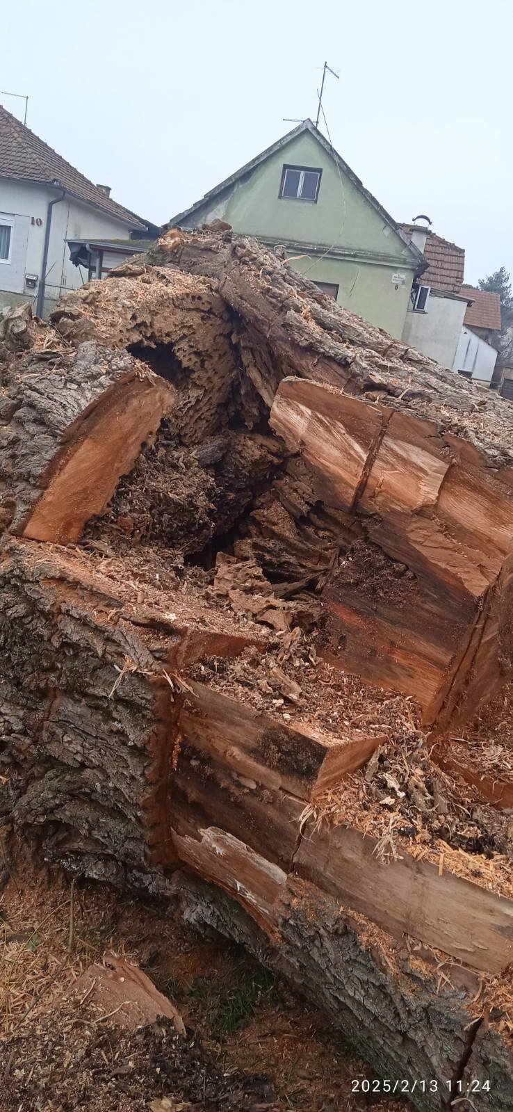 Img E7923a93a265819750f40338bc876291 V