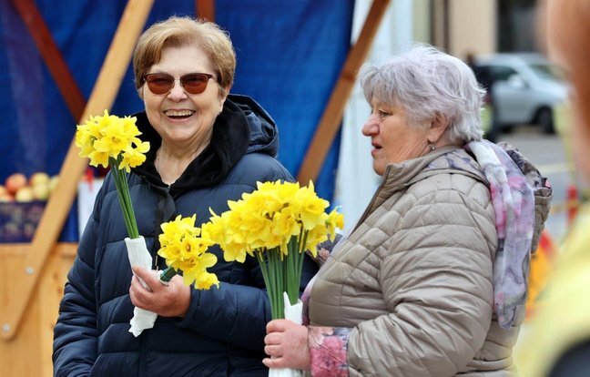 Narcisi 150325 Autor Fotografije Drazen Kopac 2.jpg 648x432 Q85 Subsampling 2