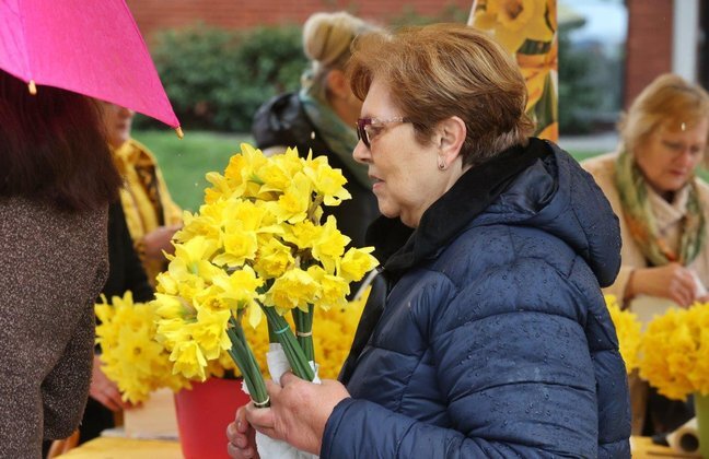 Narcisi 150325 Autor Fotografije Drazen Kopac 3.jpg 648x432 Q85 Subsampling 2