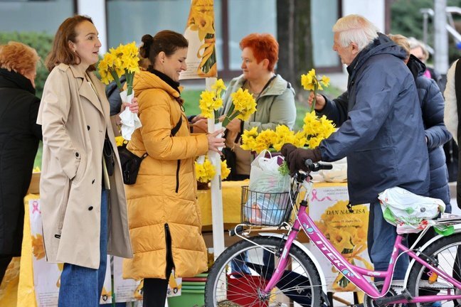 Narcisi 150325 Autor Fotografije Drazen Kopac 6.jpg 648x432 Q85 Subsampling 2