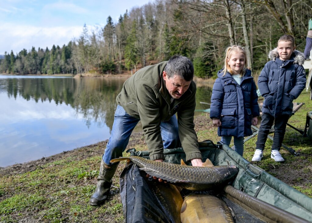 Poribljavanje Trakoscansko Jezero 2025 (11)