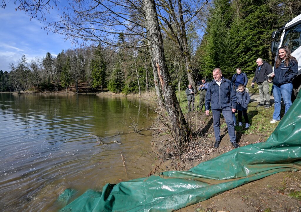 Poribljavanje Trakoscansko Jezero 2025 (14)