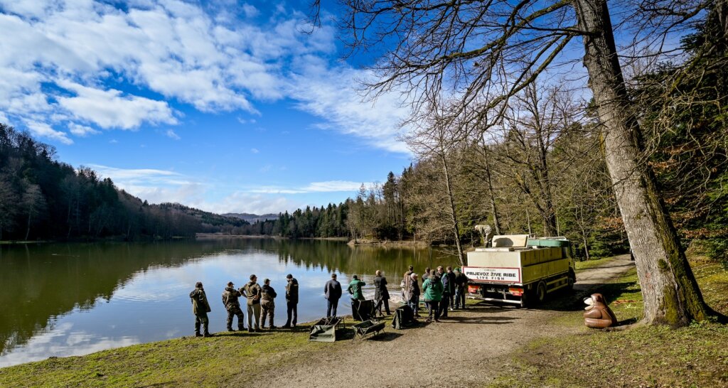 Poribljavanje Trakoscansko Jezero 2025 (4)