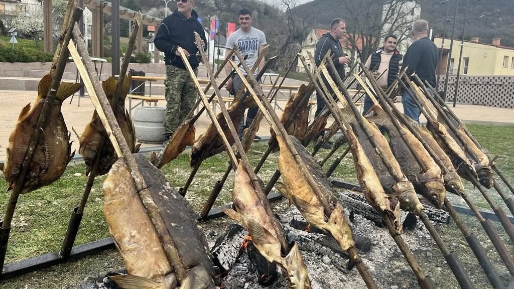 491623032 1566768617554278 5813566227833710473 N