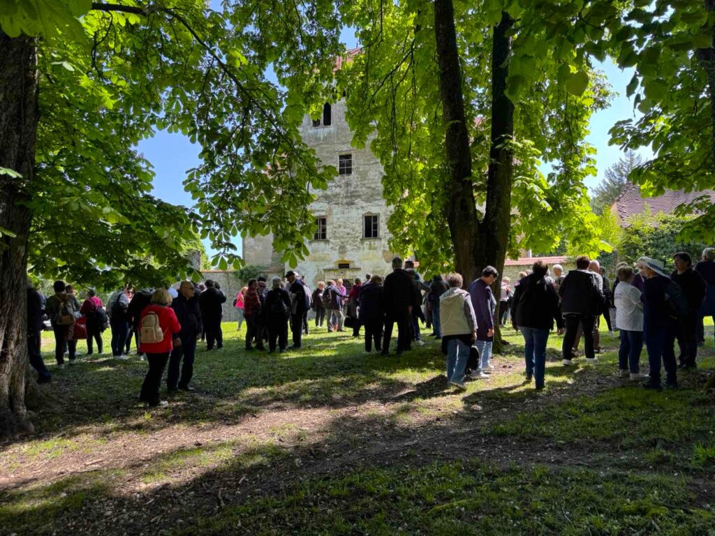 Piknik Umirovljenici Dolina Vitezova Margecan 2025 (8)