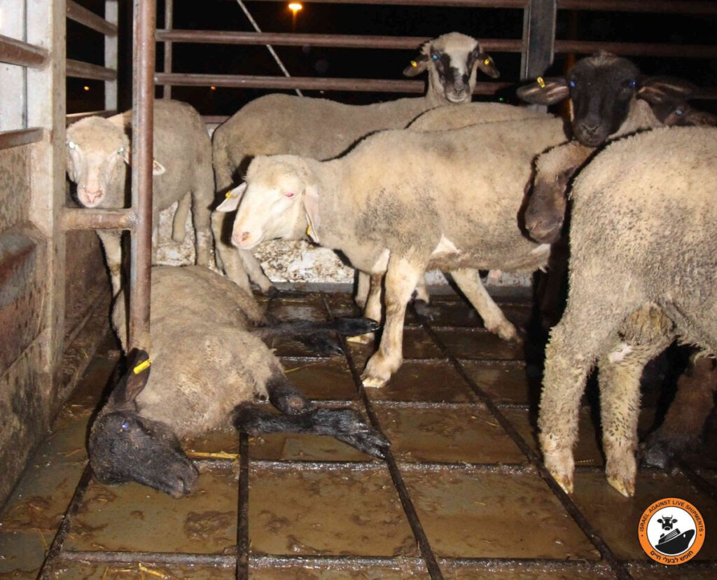 Unnamed 2025 04 15t103218.460