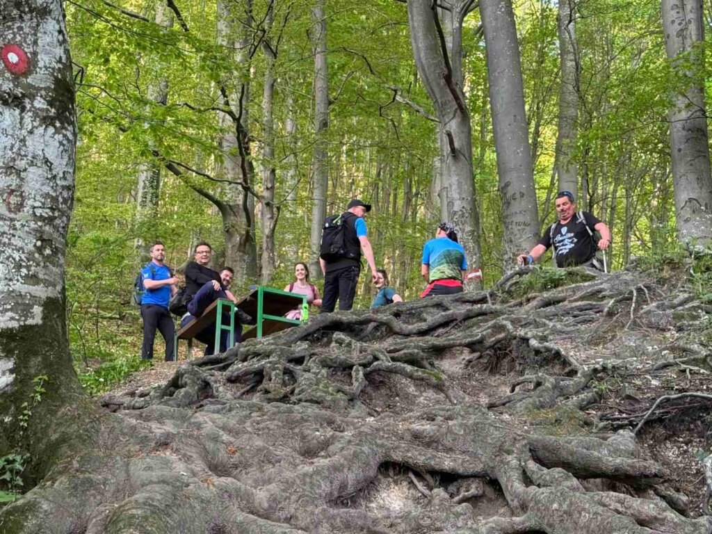 030525 Defibrilator 7