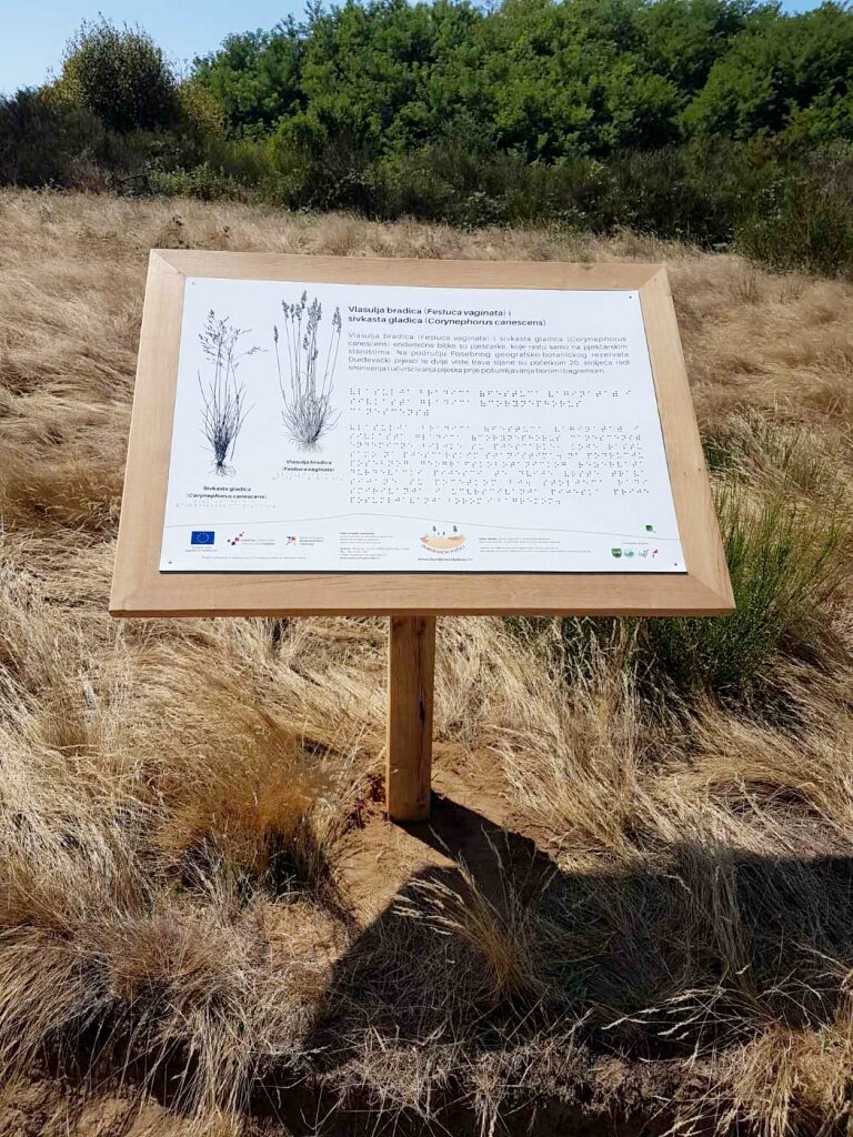 237446795 3061204700783173 1330521278045048167 N