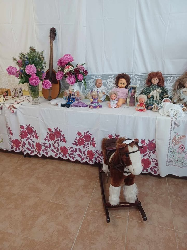 495270717 1681578452482610 5191111094726011621 N