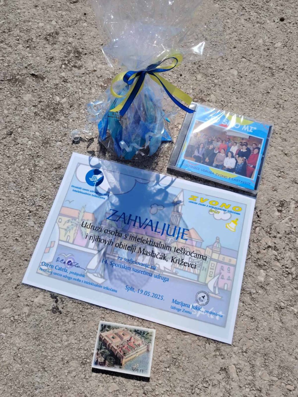 499406221 9559184577526861 265778165854094767 N