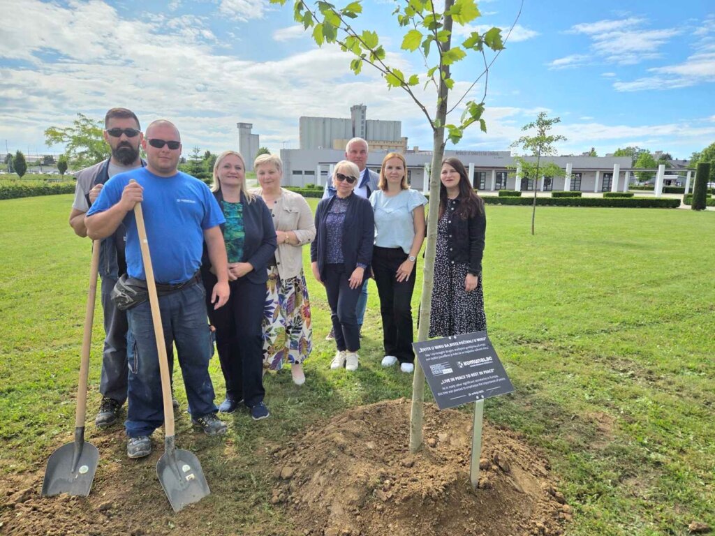 Platana mira posađena na Gradskom groblju Koprivnica kao dio Tjedna upoznavanja groblja Europe