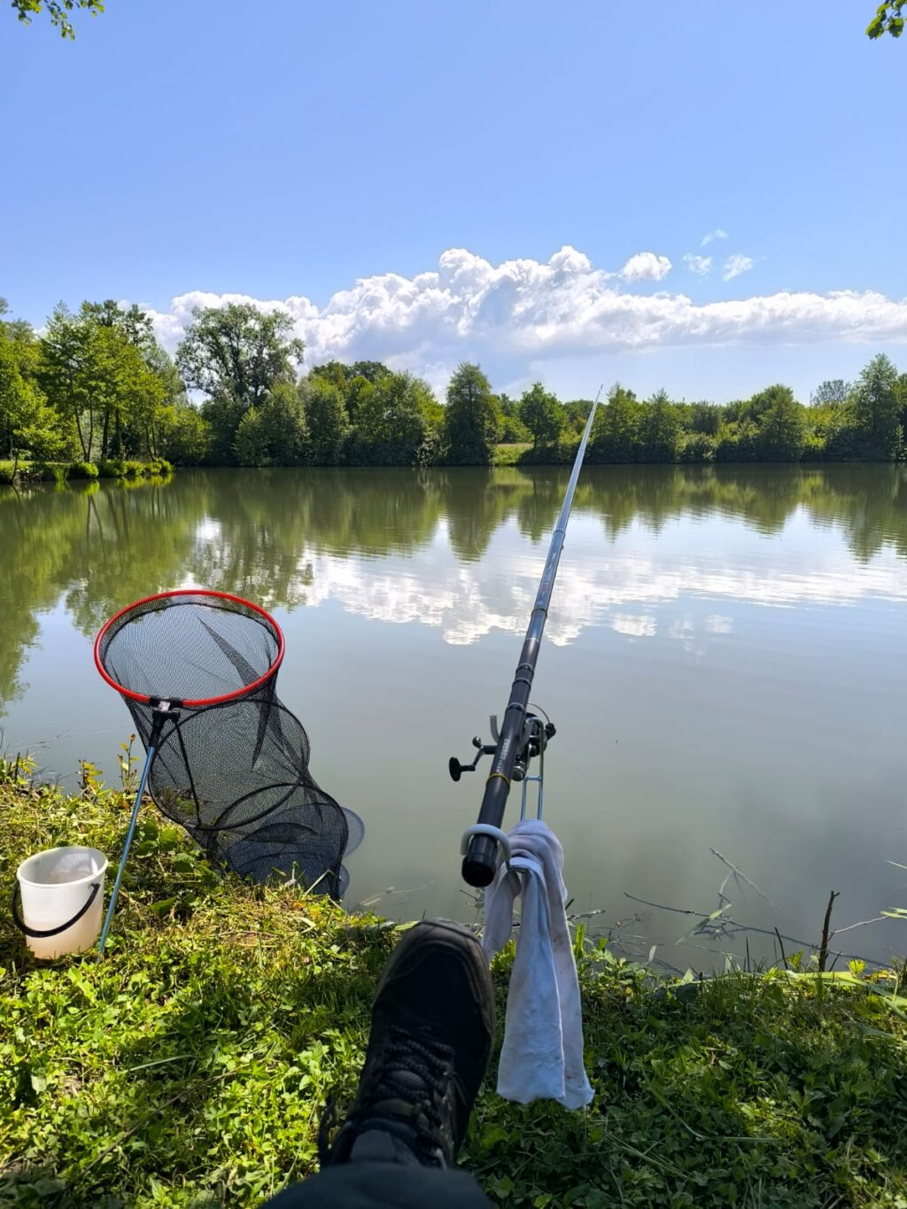 8d9cc15c 73fa 4d30 96d6 45a091c59e91