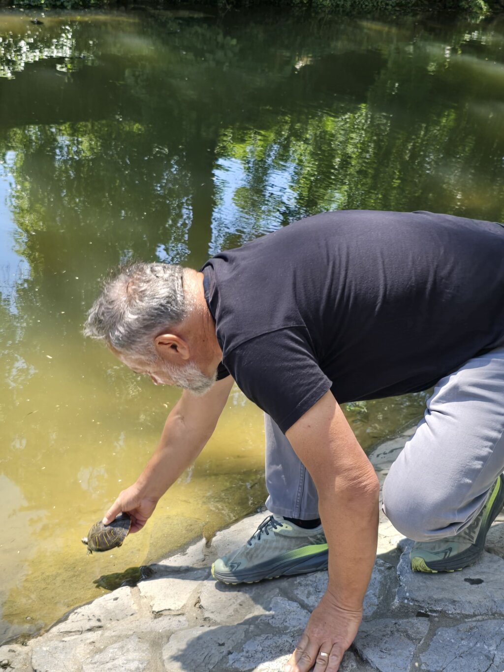 Crvenouhe Kornjače (4)