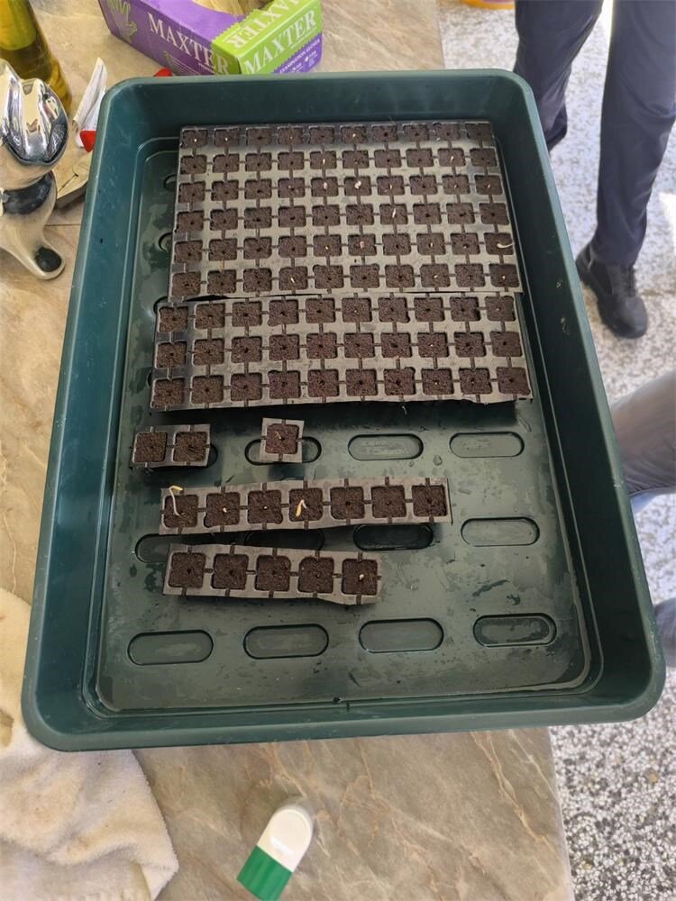 Img 40b251e3e2d31921e110b65a1a8e0580 V