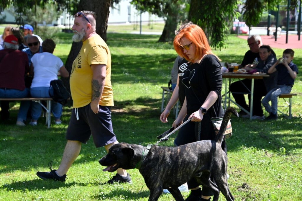 Photo 2025 05 01 15 29 44(7)