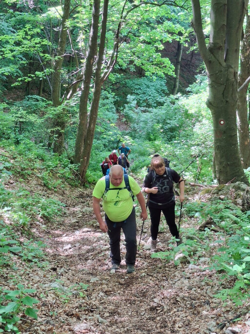 Photo 2025 05 11 12 37 23 1