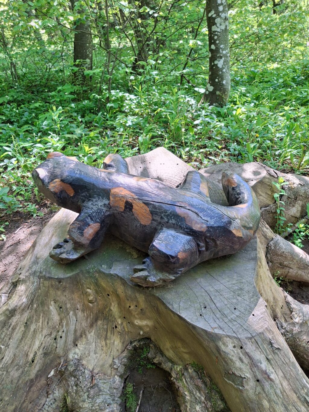 Photo 2025 05 11 12 37 24