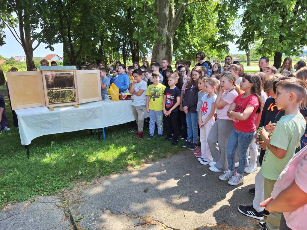 Svjetski Dan Pčela (22)