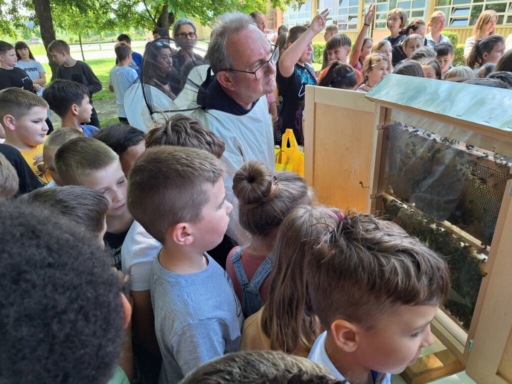 Svjetski Dan Pčela (5)