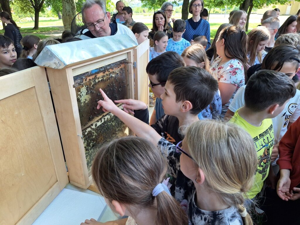 Svjetski Dan Pčela (6)