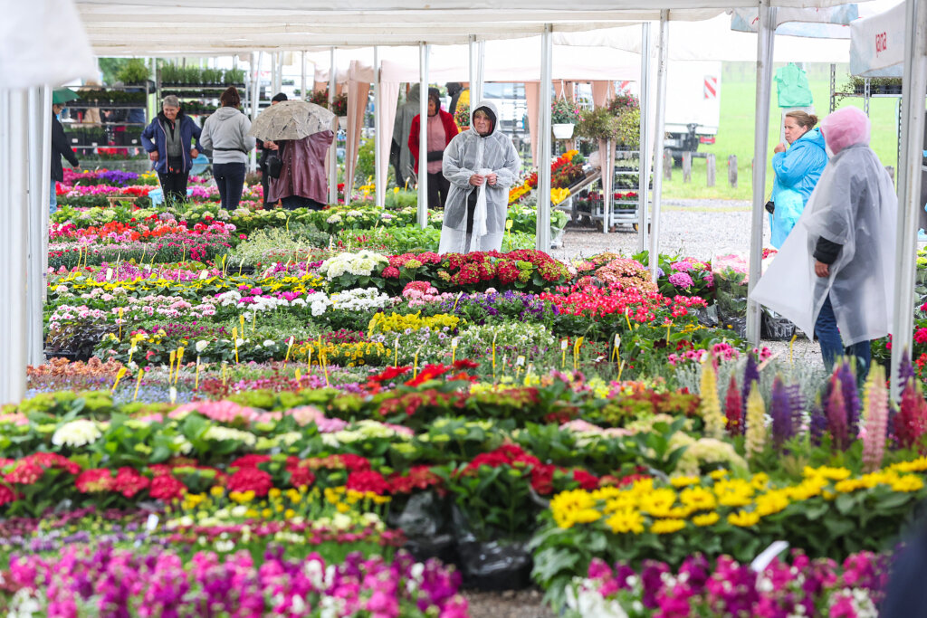 Otvoren 59. “Floraart” na zagrebačkom Bundeku