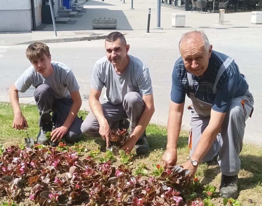 Grad Vrbovec krase begonije