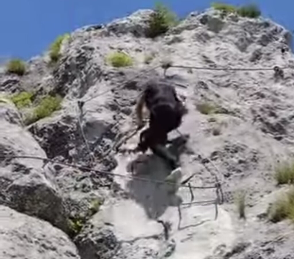 [VIDEO] Prigorski Spiderman penje se Kalnikom poput pravog pauka