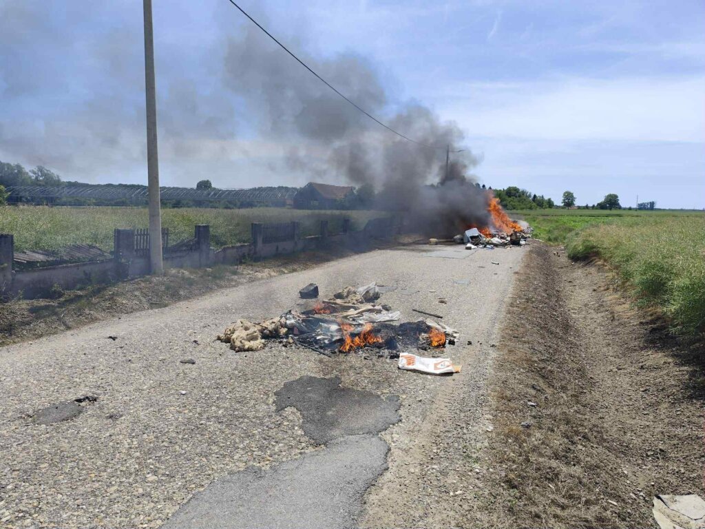 272d0ac3 8690 47d5 Ad83 08cac524c443