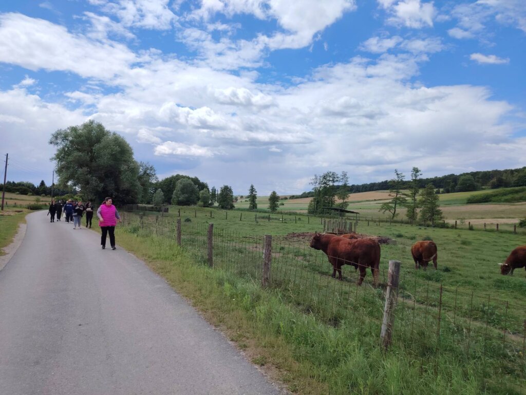 494742888 9632138376898147 7824041781577438377 N