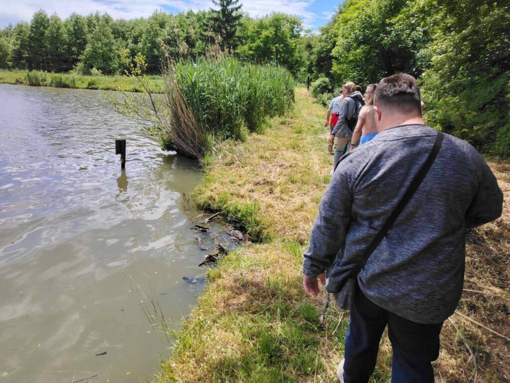 495598194 9632153656896619 2142516351333010178 N