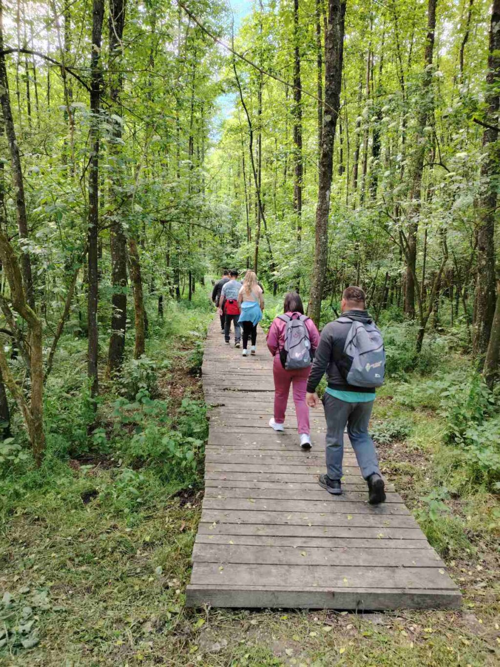 496996492 9632152553563396 1738504268235601262 N