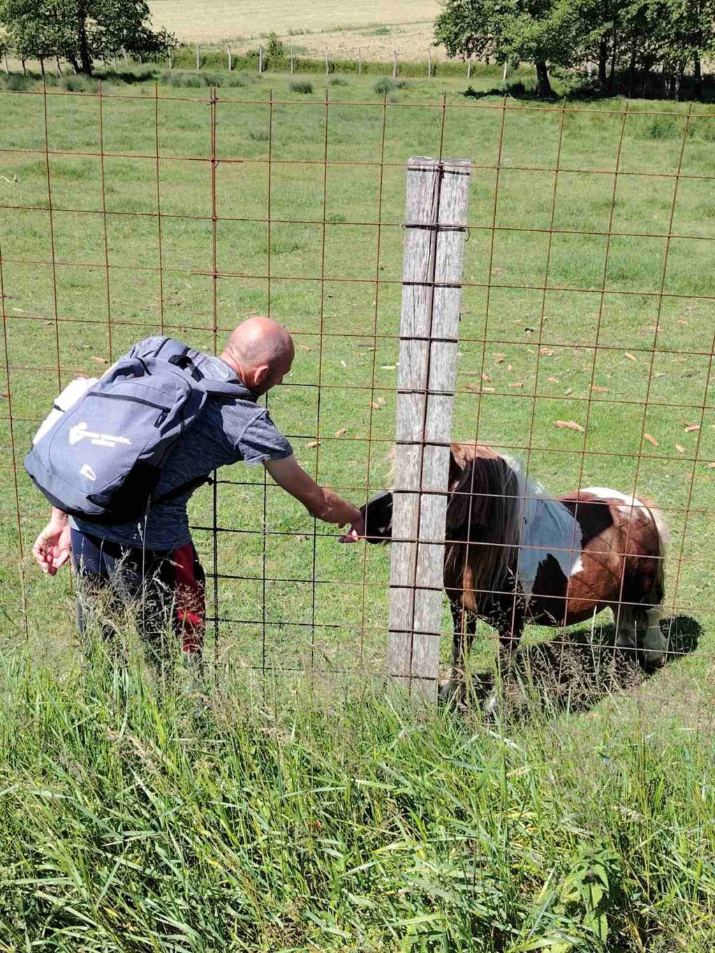 498946098 9632137636898221 8083451114295625147 N