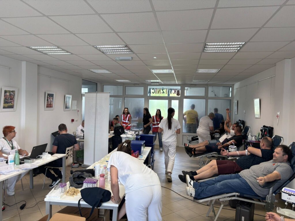 506451401 757705363257405 1213025174636784329 N