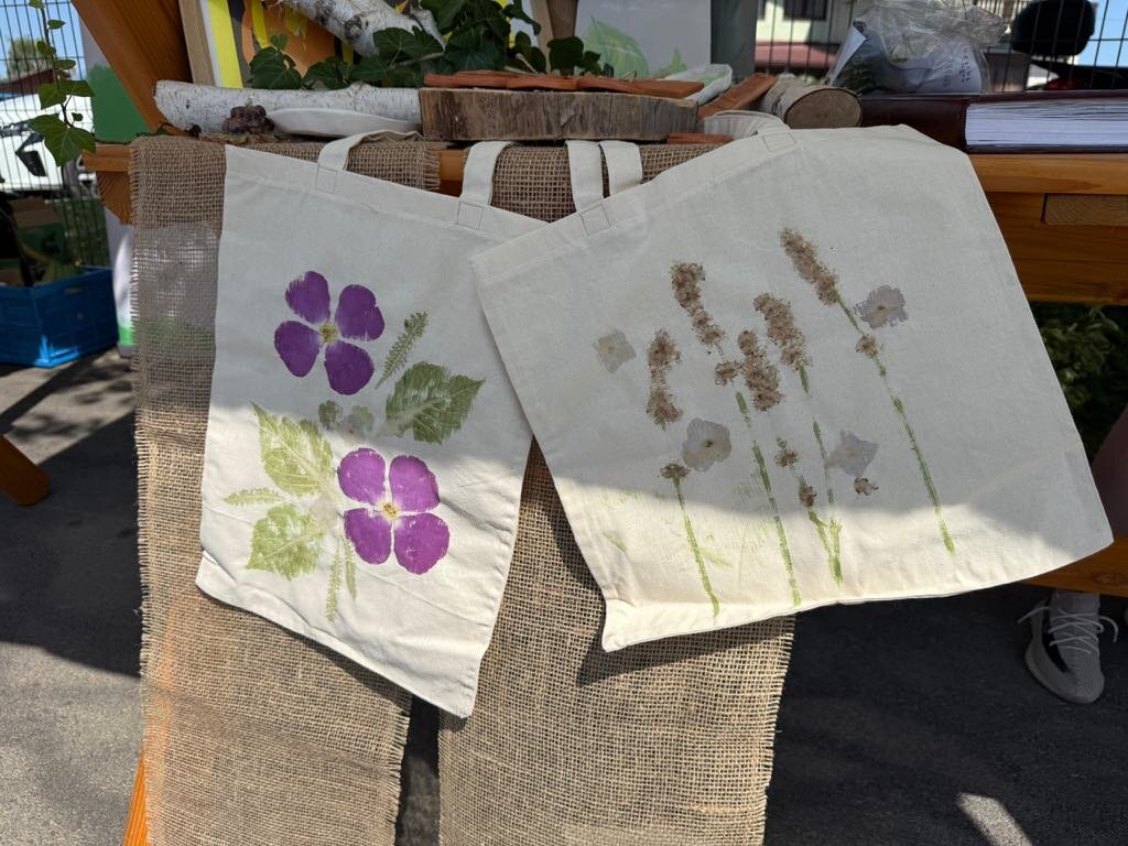 6dc89901 04df 4887 892d 58e0a1f16ed7