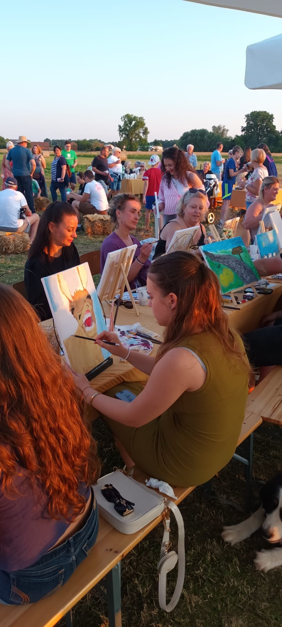 899997da 8d9f 427e A81a 9366989d5953