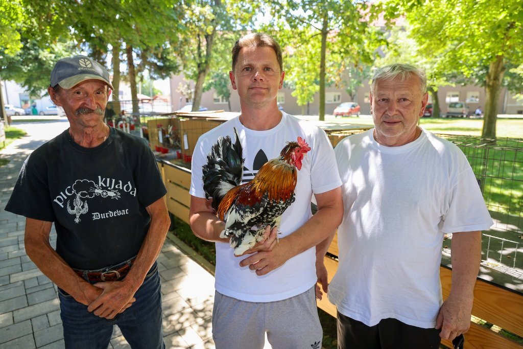 [FOTO/VIDEO] U Đurđevcu tradicionalno na Picokijadi izabrani najljepši pevci, đureki i golovratani Podravine