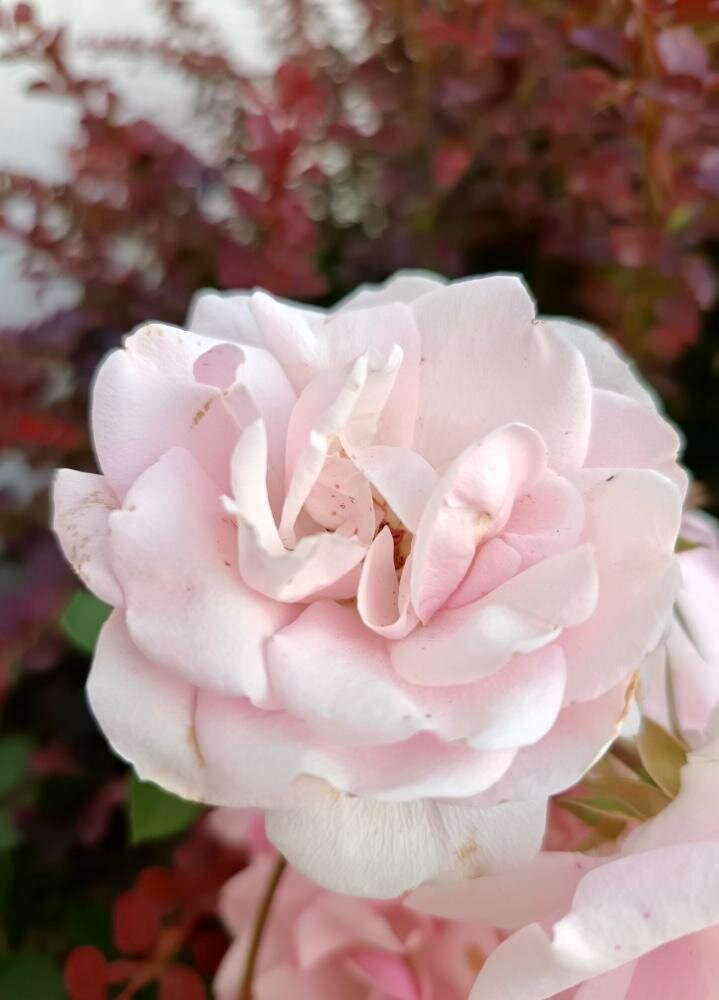 Photo 2025 06 05 22 50 10