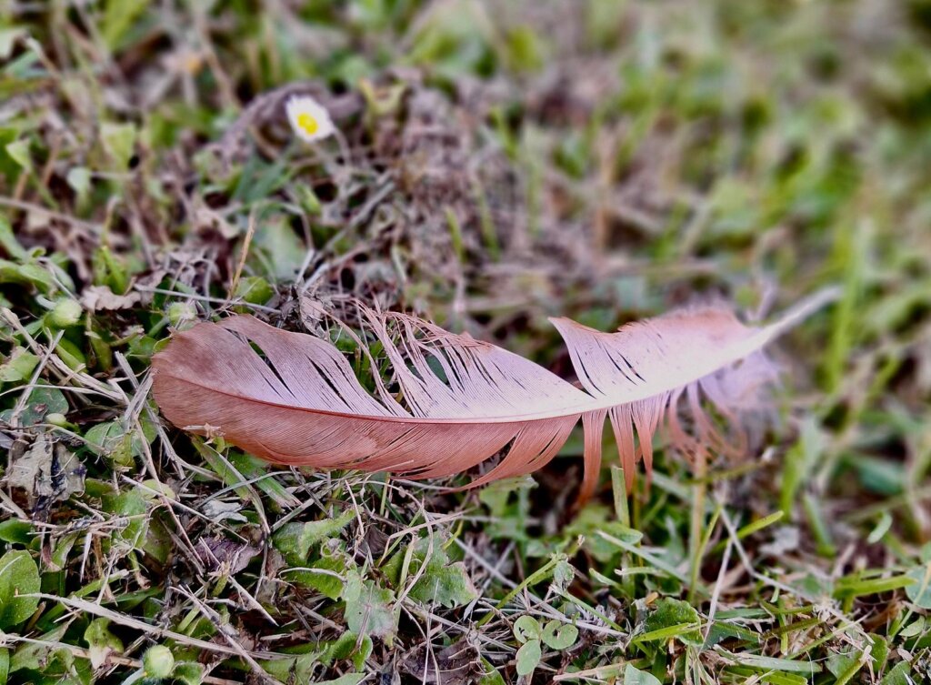 Photo 2025 06 05 22 50 11