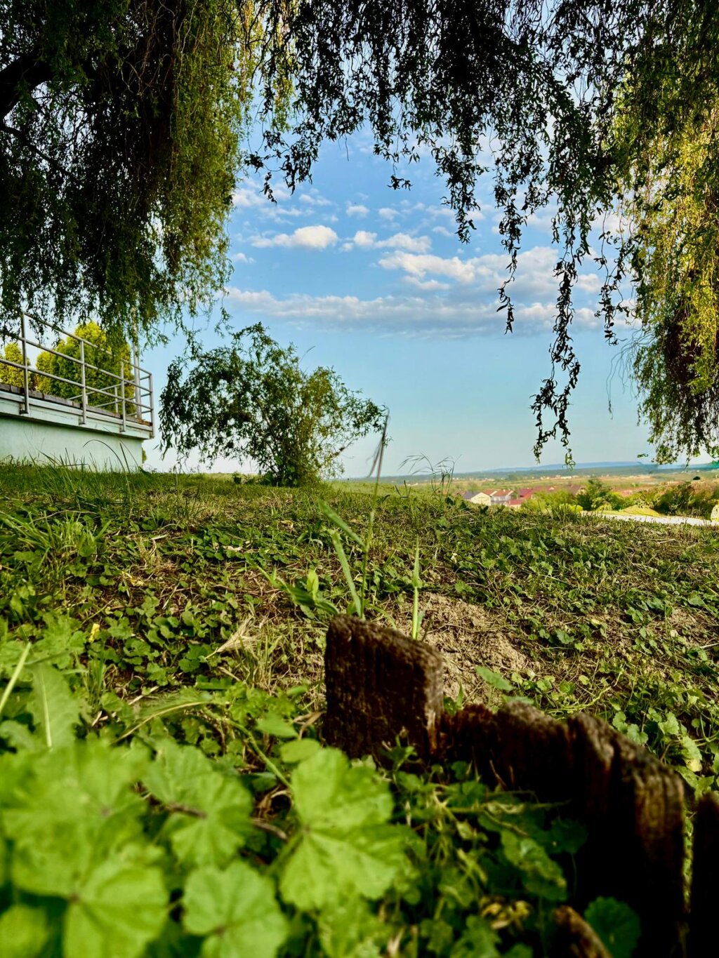 Photo 2025 06 05 22 50 11 1