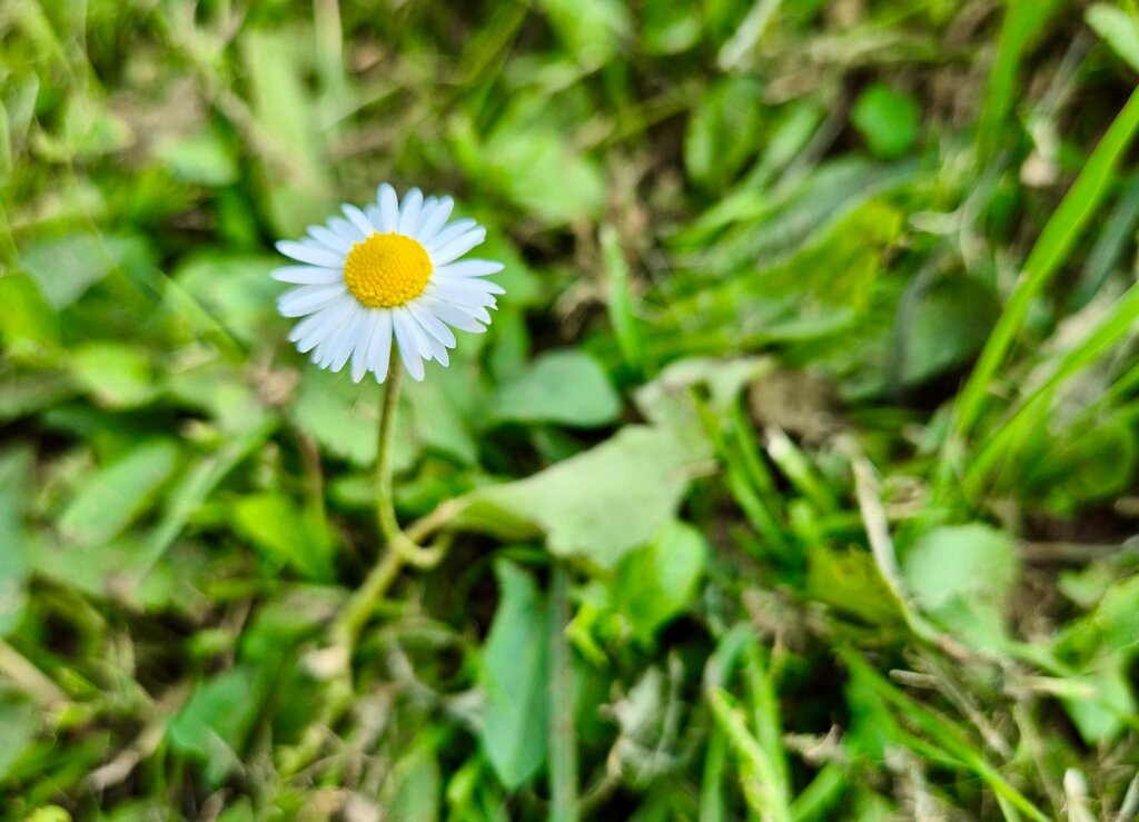 Photo 2025 06 05 22 50 11 2