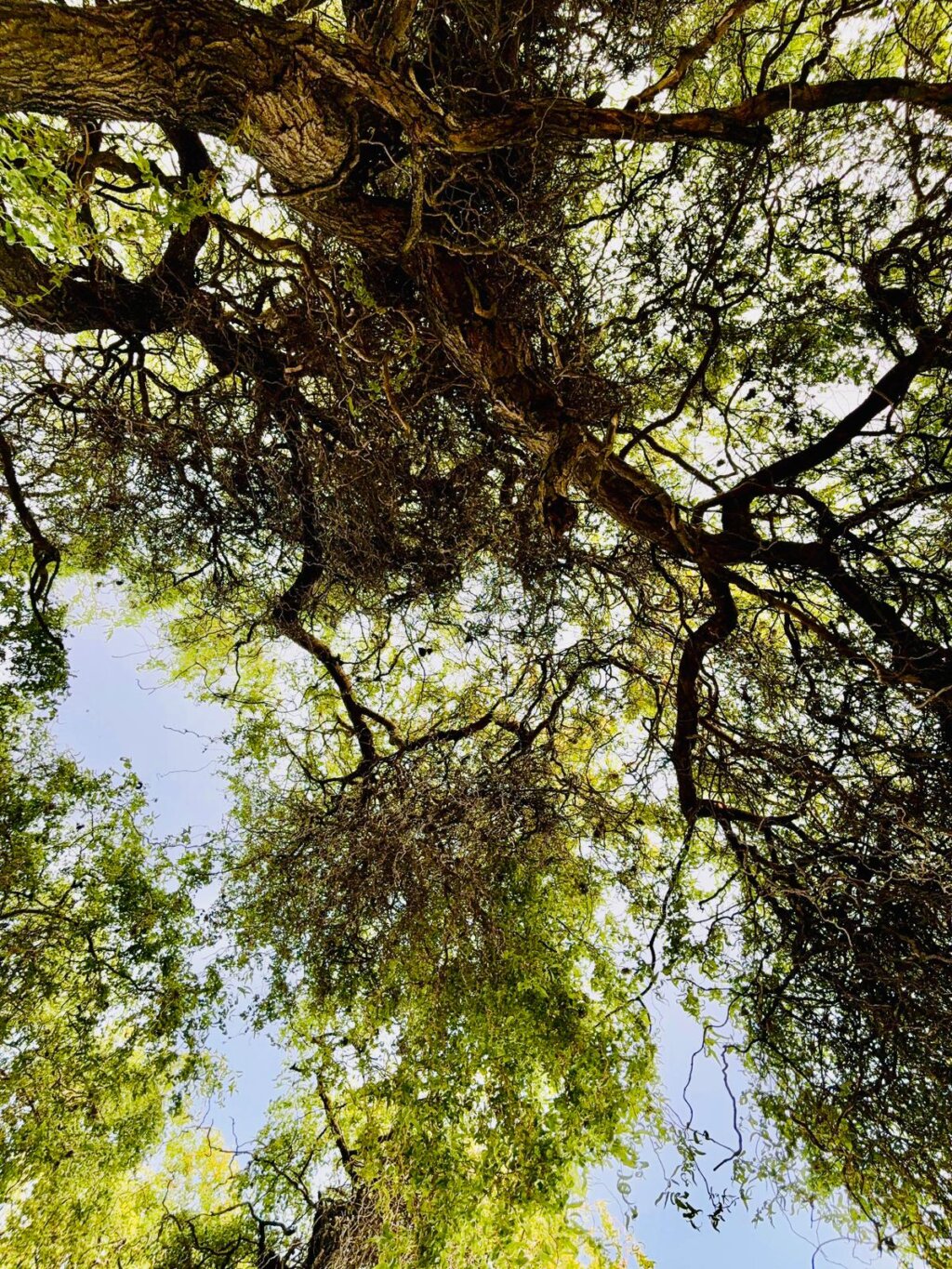 Photo 2025 06 05 22 50 11 7