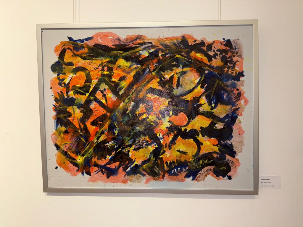 Photo 2025 06 27 18 18 59(2)