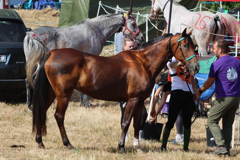 Photo 2025 06 28 09 42 01