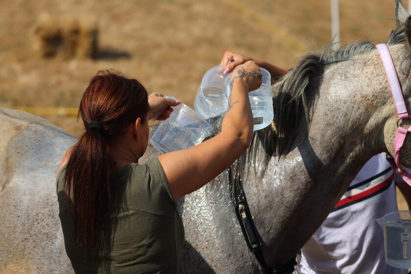 Photo 2025 06 28 09 42 03