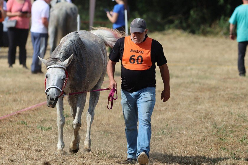 Photo 2025 06 28 09 42 03(1)