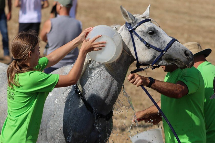 Photo 2025 06 28 09 42 40