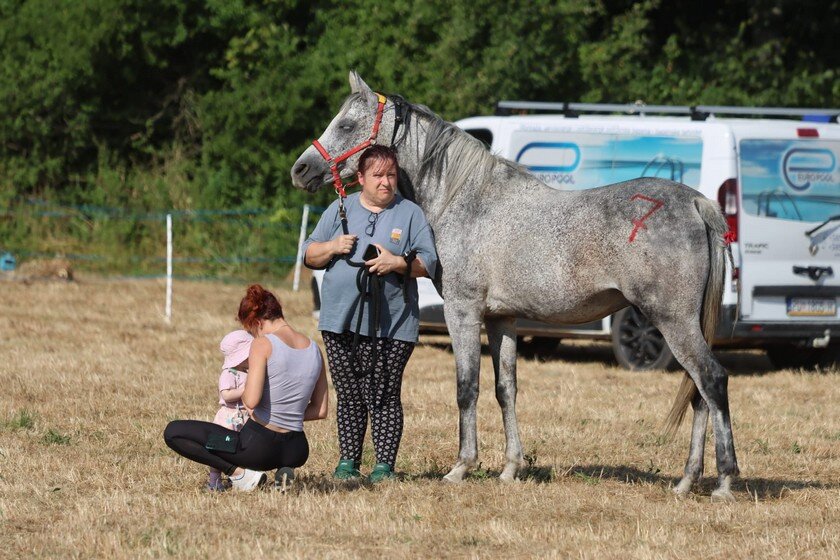 Photo 2025 06 28 09 42 40(4)